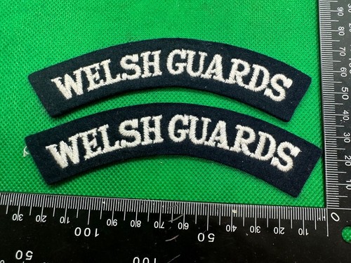 Welsh guards british - welsh, army
