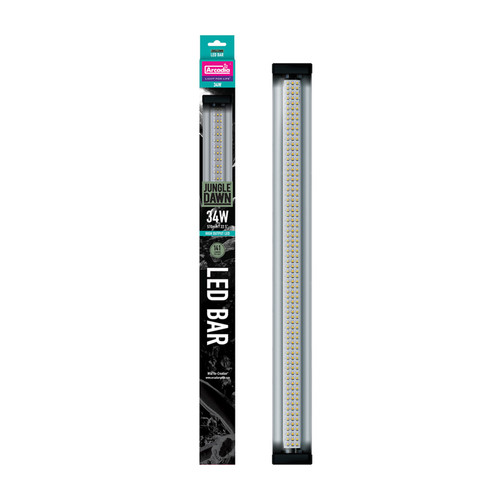 Arcadia jungle dawn led - led, bar