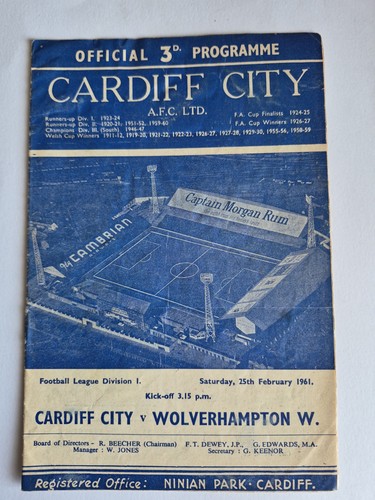 Cardiff city wolverhampton - city,