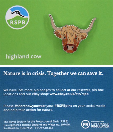 Rspb pin badge niic - pin,