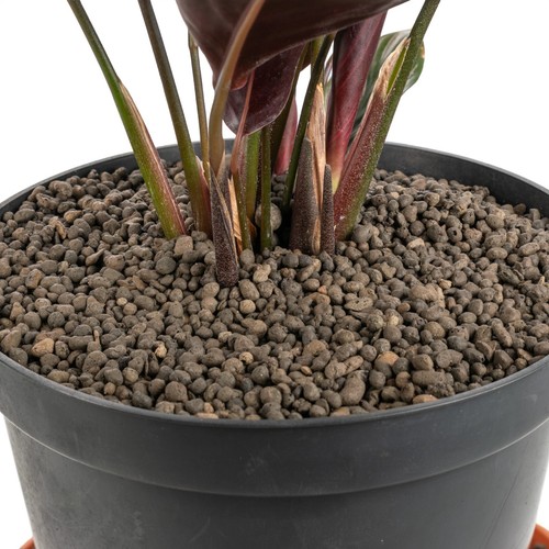 Leca clay pebble balls 4mm - pebble,