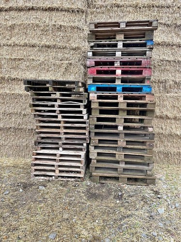 Empty wooden pallets standard - pallets,