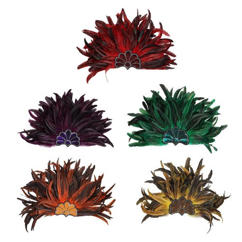 Feather headdress showgirl - feather, headdress,