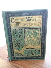 1873 COMMON WAYSIDE FLOWERS by