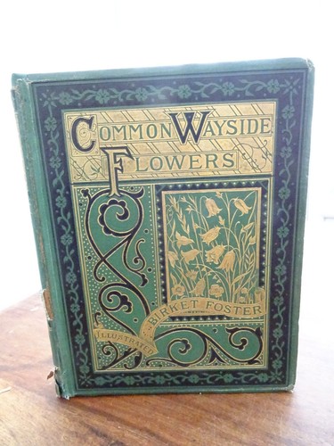 1873 common wayside flowers - wayside, by