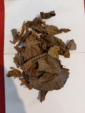 25g Walnut Leaves Food for Shrimp Snails Plecos Nerites Ramshorns