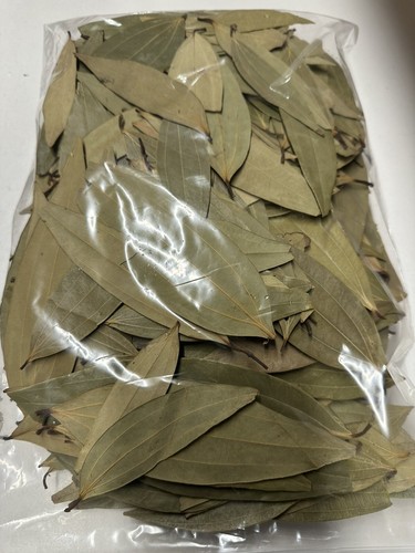 Bay leaves whole - leaves, top