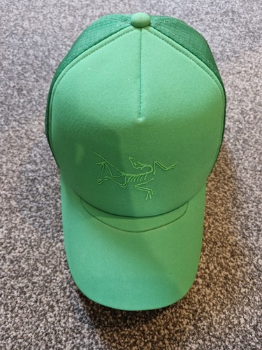 Arc teryx bird - bird, curved