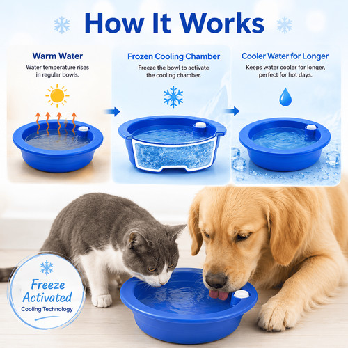 Water cooling drinking bowl - water,