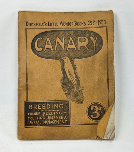 Vintage ditchfield canary - vintage, ditchfield's