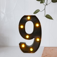 LED Lighted Number Light 9