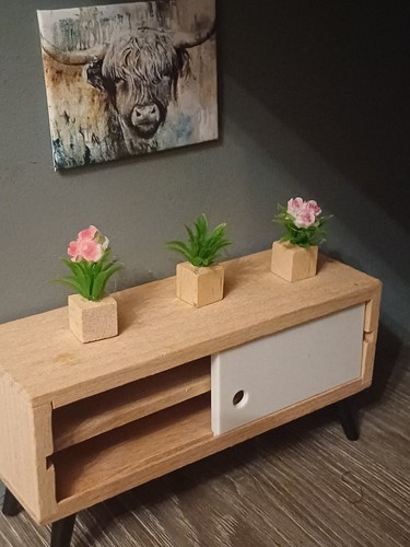 Miniature flowers and plants
