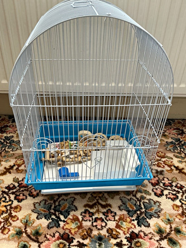 White wire bird - white,