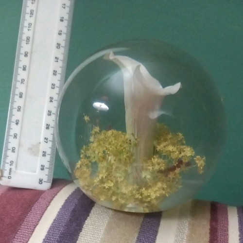Large vintage lucite - large, resin