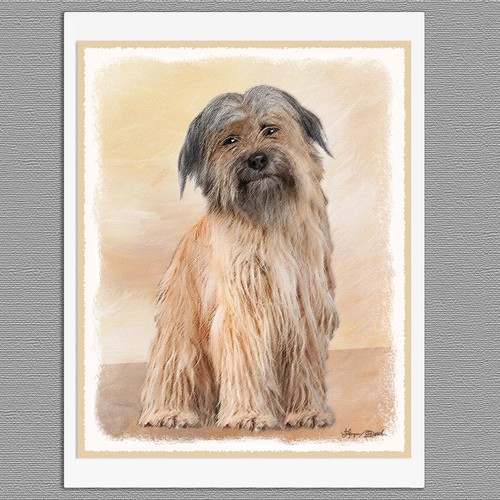 Pyrenean shepherd dog blank - shepherd,