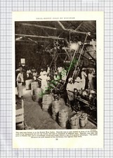 Sisal Rope Factory British West Indies - c.1940s Cutting