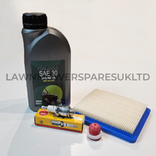 Service Kit for Briggs &
