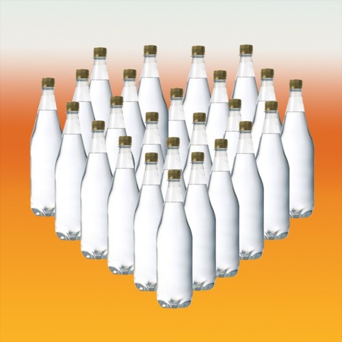 Pack 1 litre pet - 24,