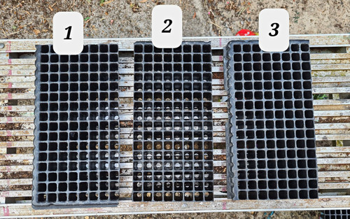 Rigid plastic 128 cell - x,
