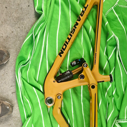 Transition sentinel gold - transition,