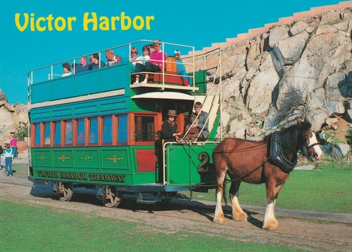 Victor harbor horse drawn - harbor,
