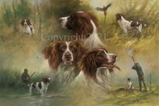 Mick Cawston 'Springers'