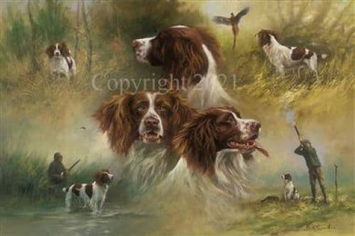Mick cawston springers - mick, 'springers'