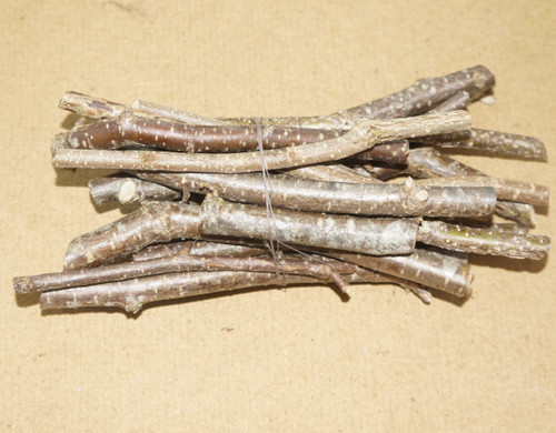 Organic fresh hazel sticks for - hazel,