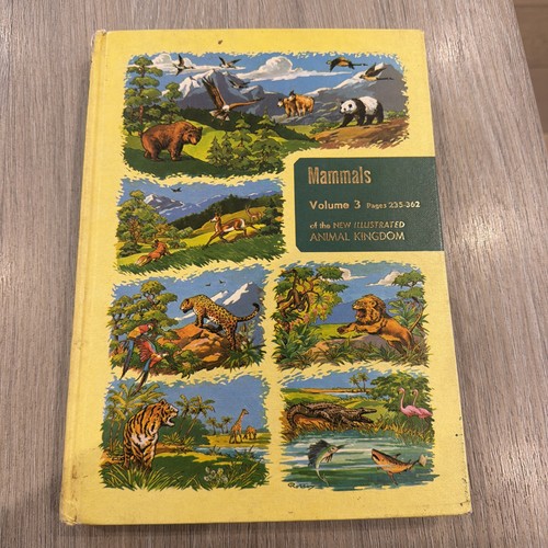 Vintage the illustrated - vintage,