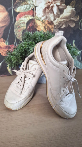Womens skechers white trainers - skechers,