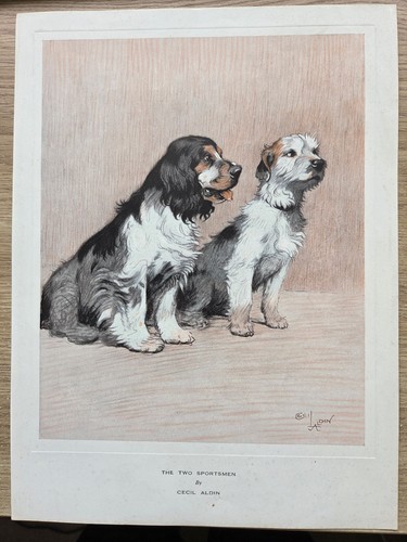 Cecil aldin dog prints - dog,