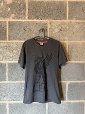 Liverpool Fc Men’s Grey