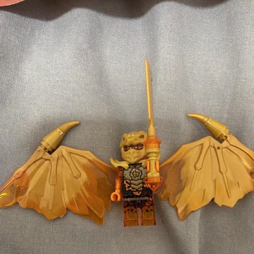 Lego ninjago cole season - lego,