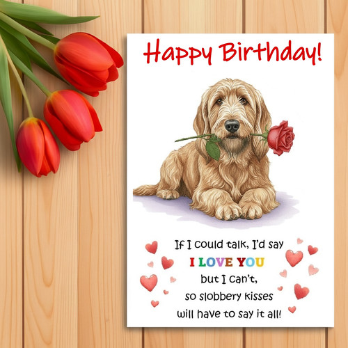 Briard birthday card - birthday,