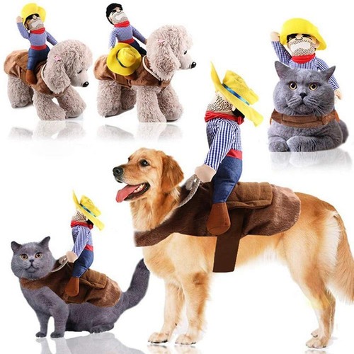 Funny dog costumes - funny,