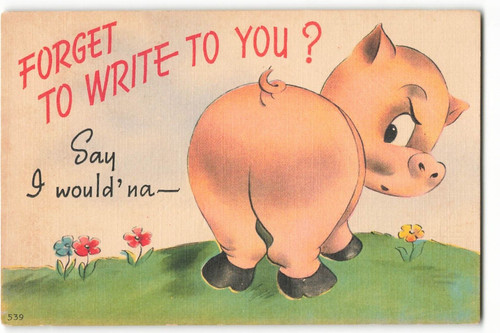 Postcard forget write - postcard, to