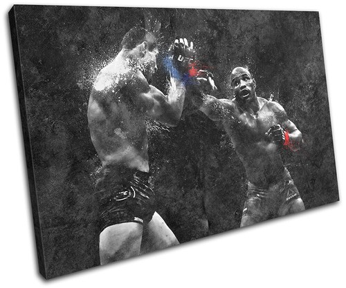 Ufc grunge costa romero - ufc, mma