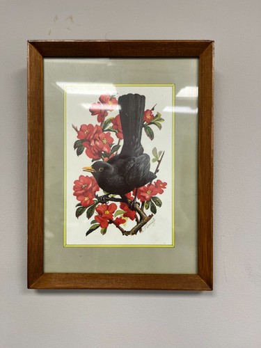 Vintage tunnicliffe - c.f.,