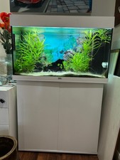 Juwel rio 125 white fish - 125,