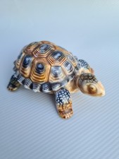 Wade Tortoise Turtle Figurine Trinket Box with Removable Shell Made in England