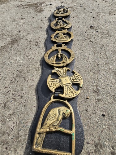 Horse brasses leather - horse,