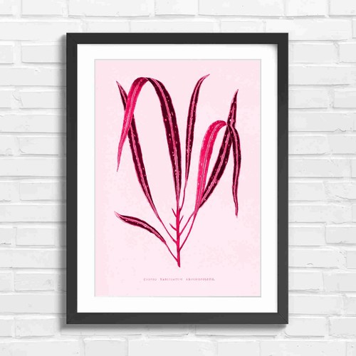 Botanical croton leaves - botanical,