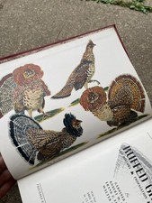 THE RUFFED GROUSE Propagation