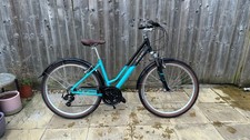 Raleigh Bicycle -