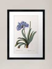 Vintage Style Redoute Flower