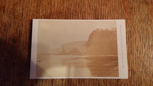 1860 antique cdv photograph - 1860's,