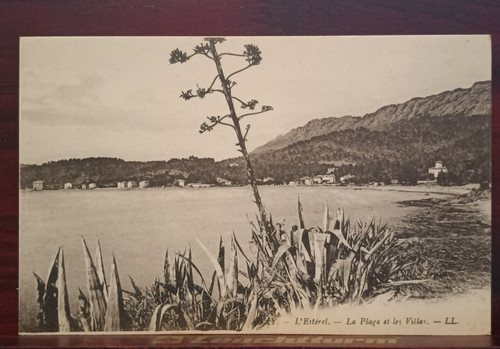 Old postcard esterel - postcard,