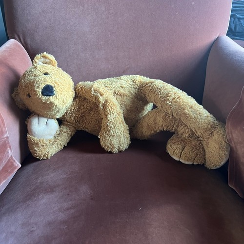 Jellycat toy teddy - jellycat,