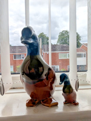 Excellent condition mother - excellent,