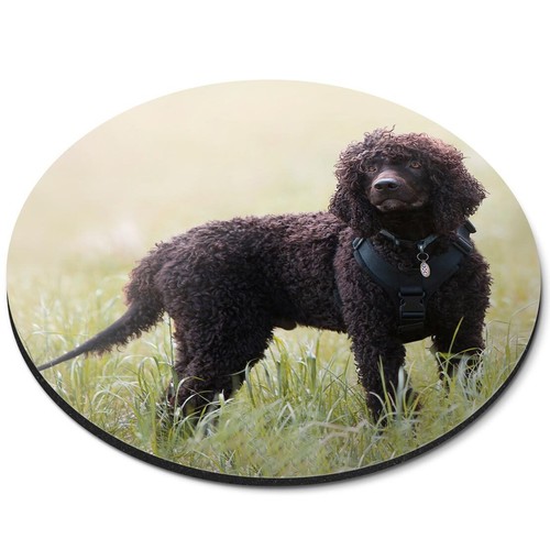 Round mouse mat irish - round,